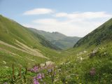 Image of landscape