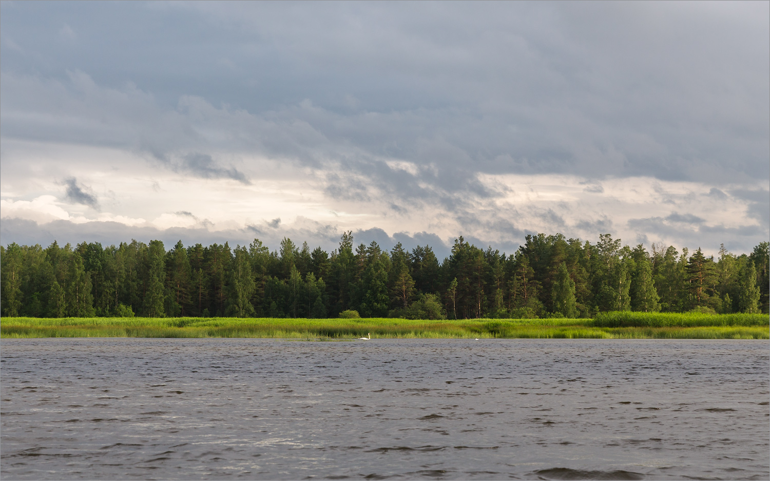 Мыс Дубовский, image of landscape/habitat.