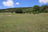 Крымский геологический полигон, image of landscape/habitat.