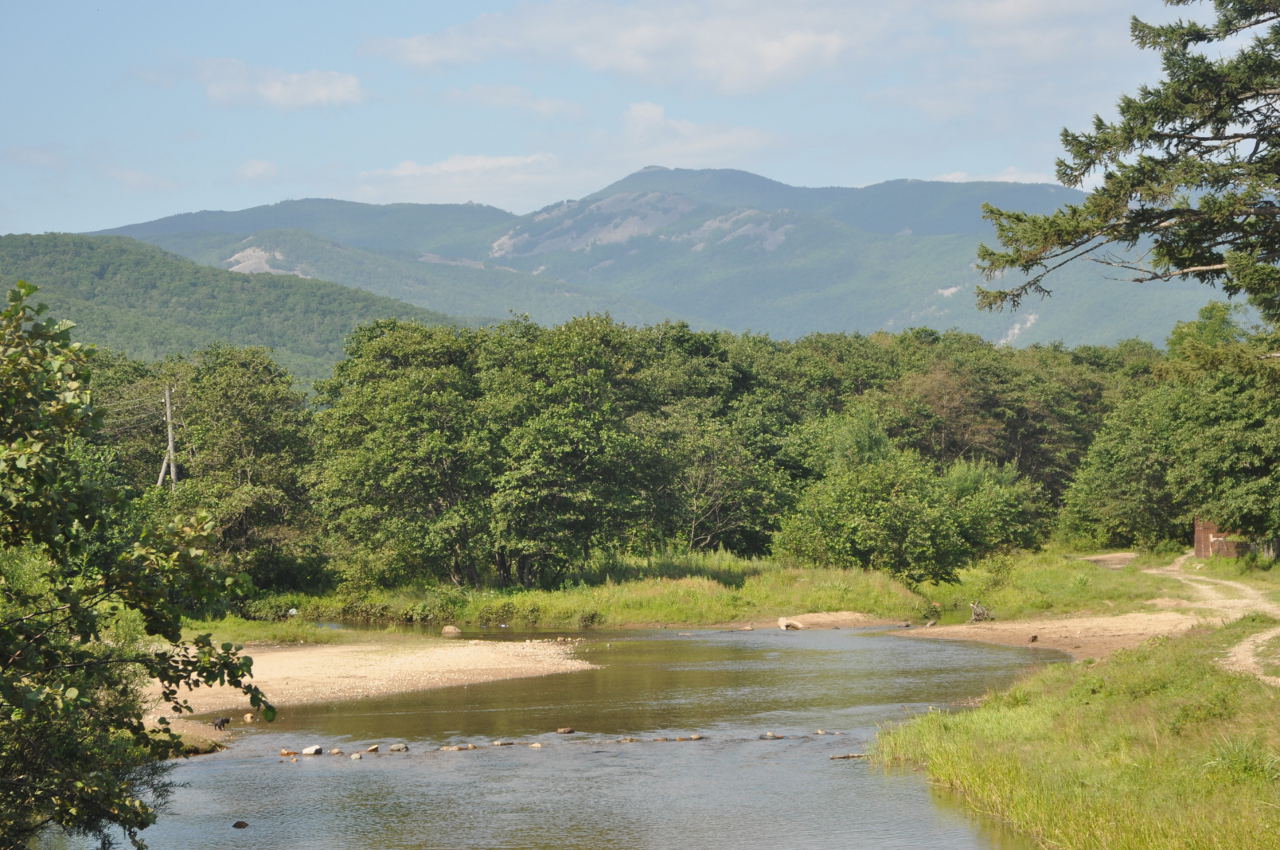 Терней, image of landscape/habitat.