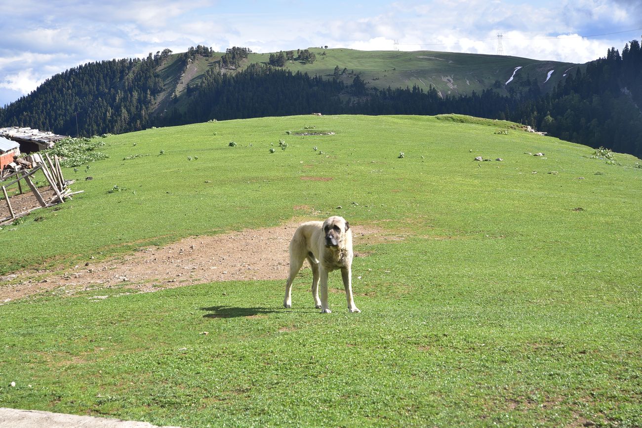 Дуганала, image of landscape/habitat.