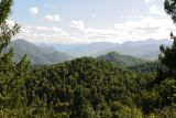 Image of landscape