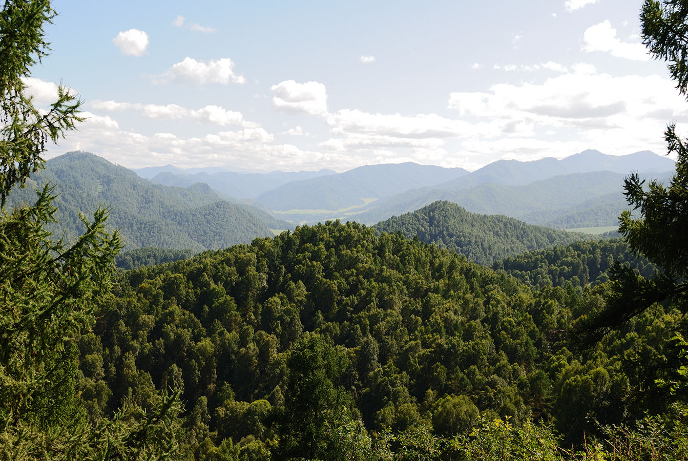 Сема, image of landscape/habitat.