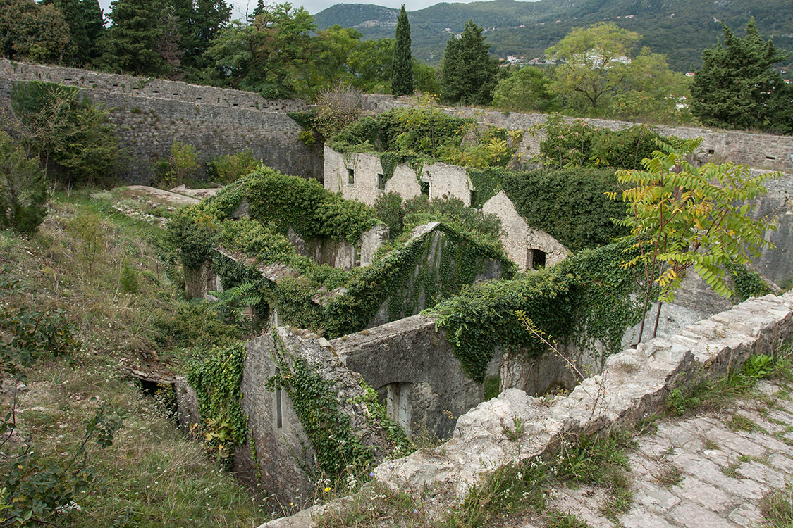 Херцег-Нови, image of landscape/habitat.