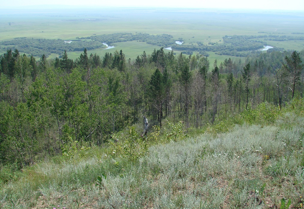 Жердовка, image of landscape/habitat.