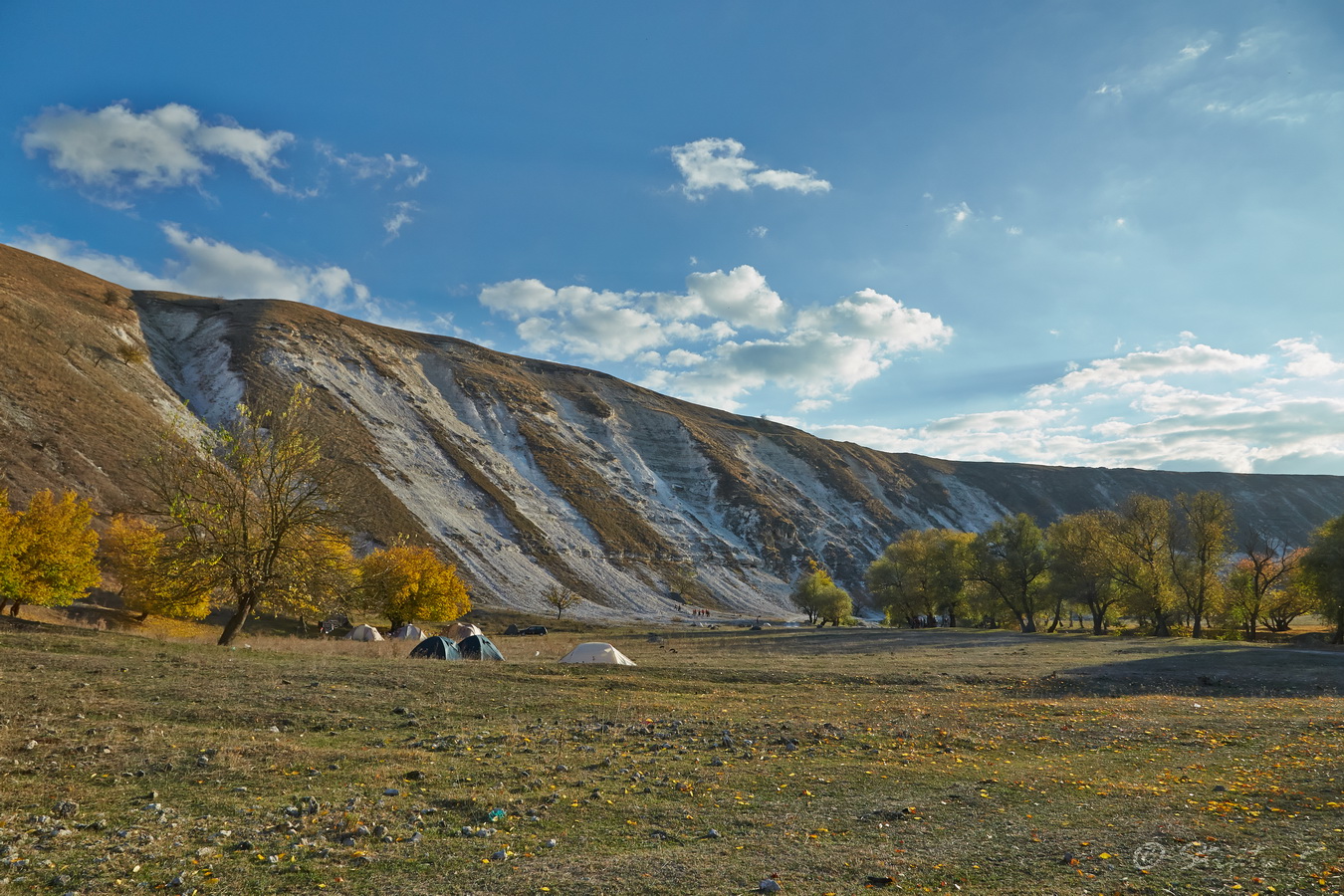 Окрестности села Требужены, image of landscape/habitat.