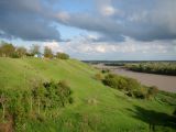 Берег Кубани в Усть-Лабинске, image of landscape/habitat.