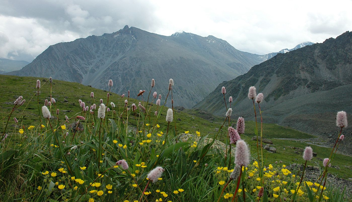 Долина Семи Озер, image of landscape/habitat.