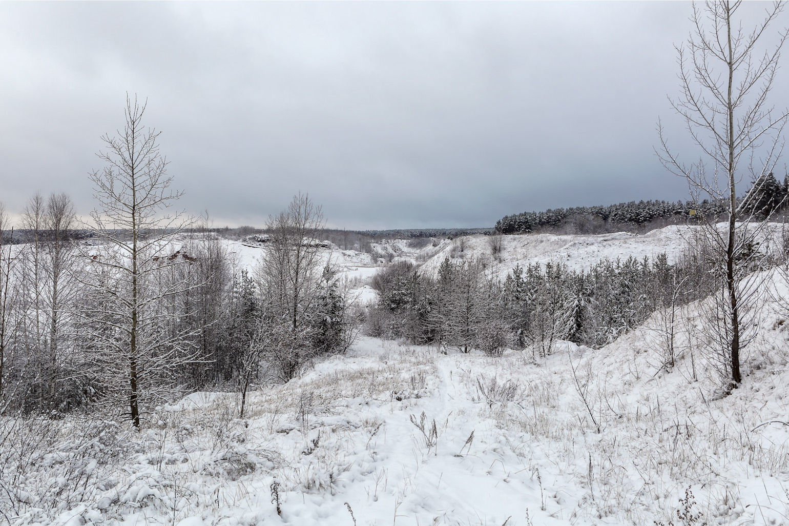 Песчаный карьер, image of landscape/habitat.