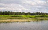 Мыс Дубовский, image of landscape/habitat.