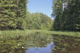 Image of landscape