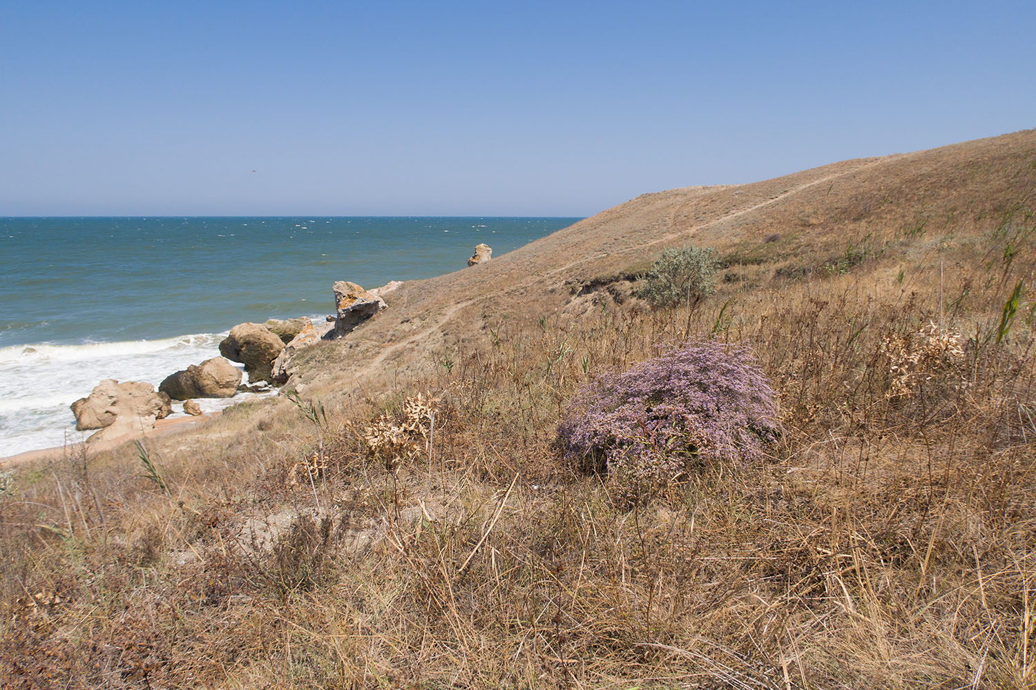 Генеральские пляжи, image of landscape/habitat.