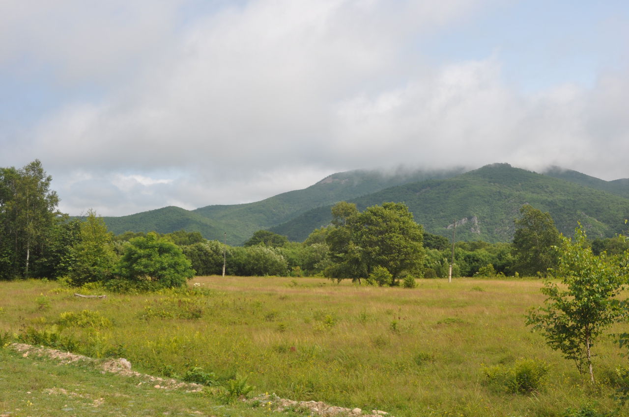 Терней, image of landscape/habitat.