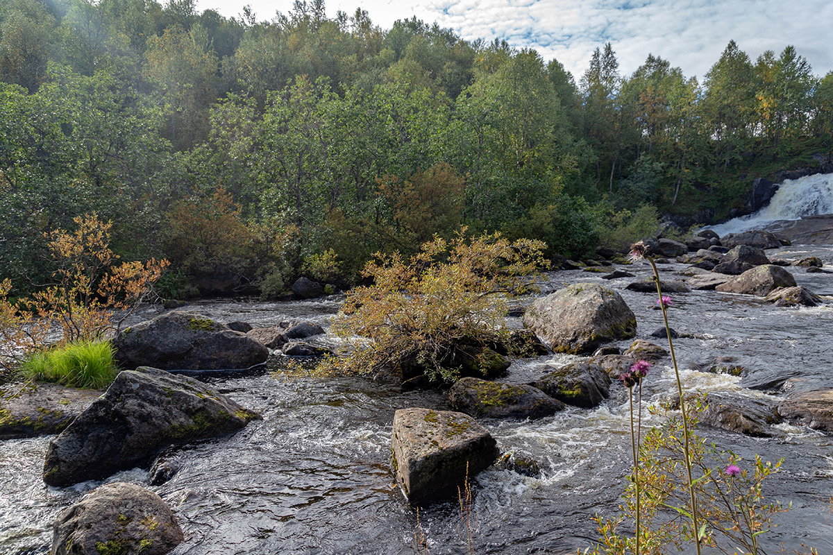 Лавна, image of landscape/habitat.