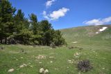 Image of landscape
