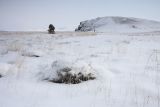 Image of landscape