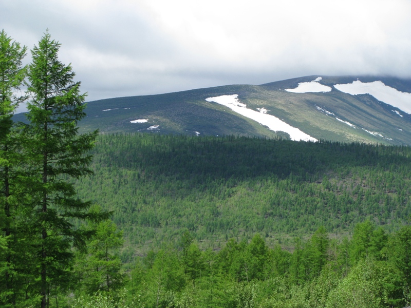 Хомолхо, image of landscape/habitat.