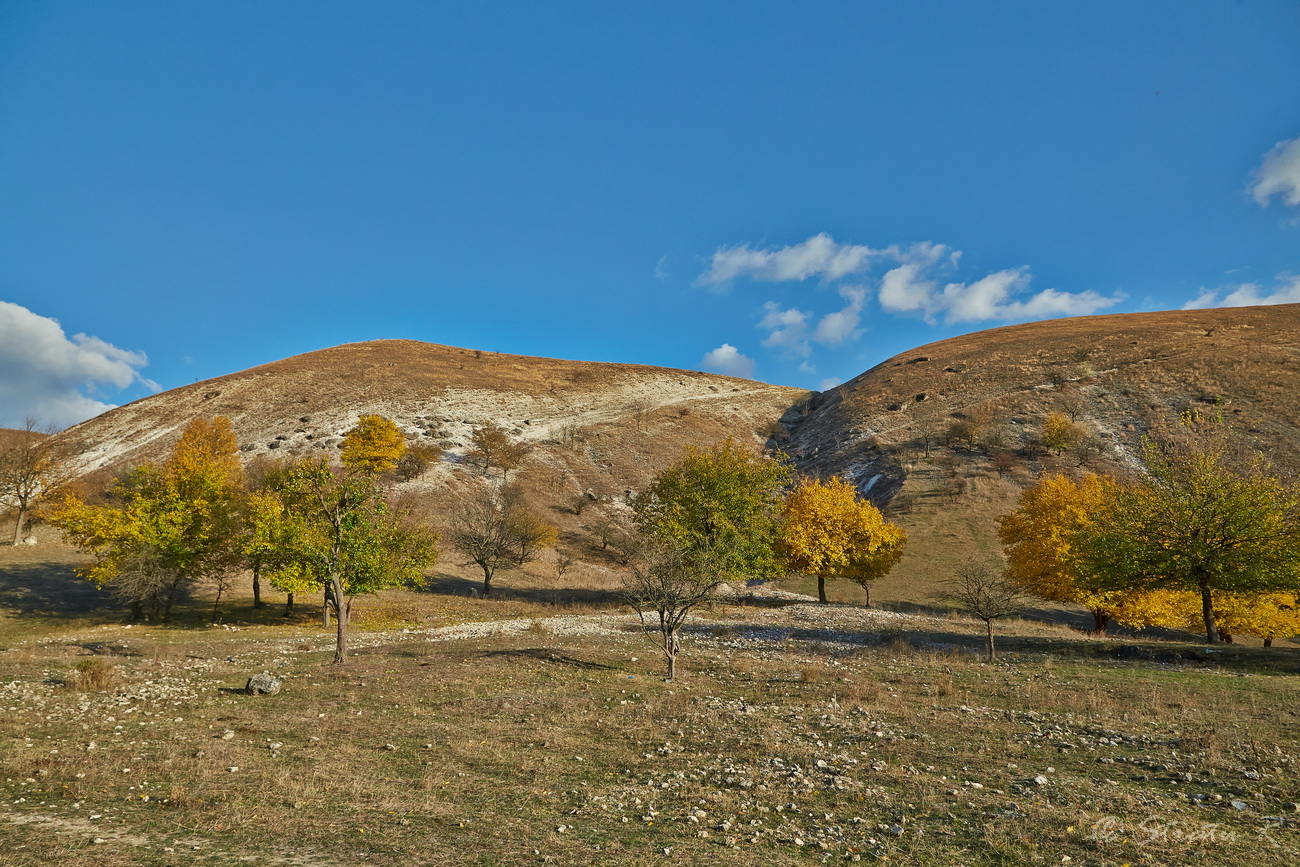 Окрестности села Требужены, image of landscape/habitat.