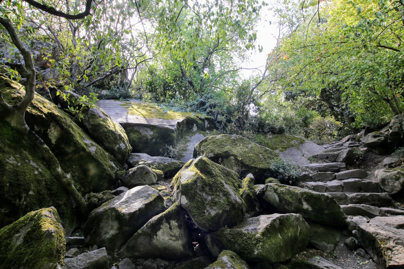 Алупкинский (Воронцовский) парк, изображение ландшафта.