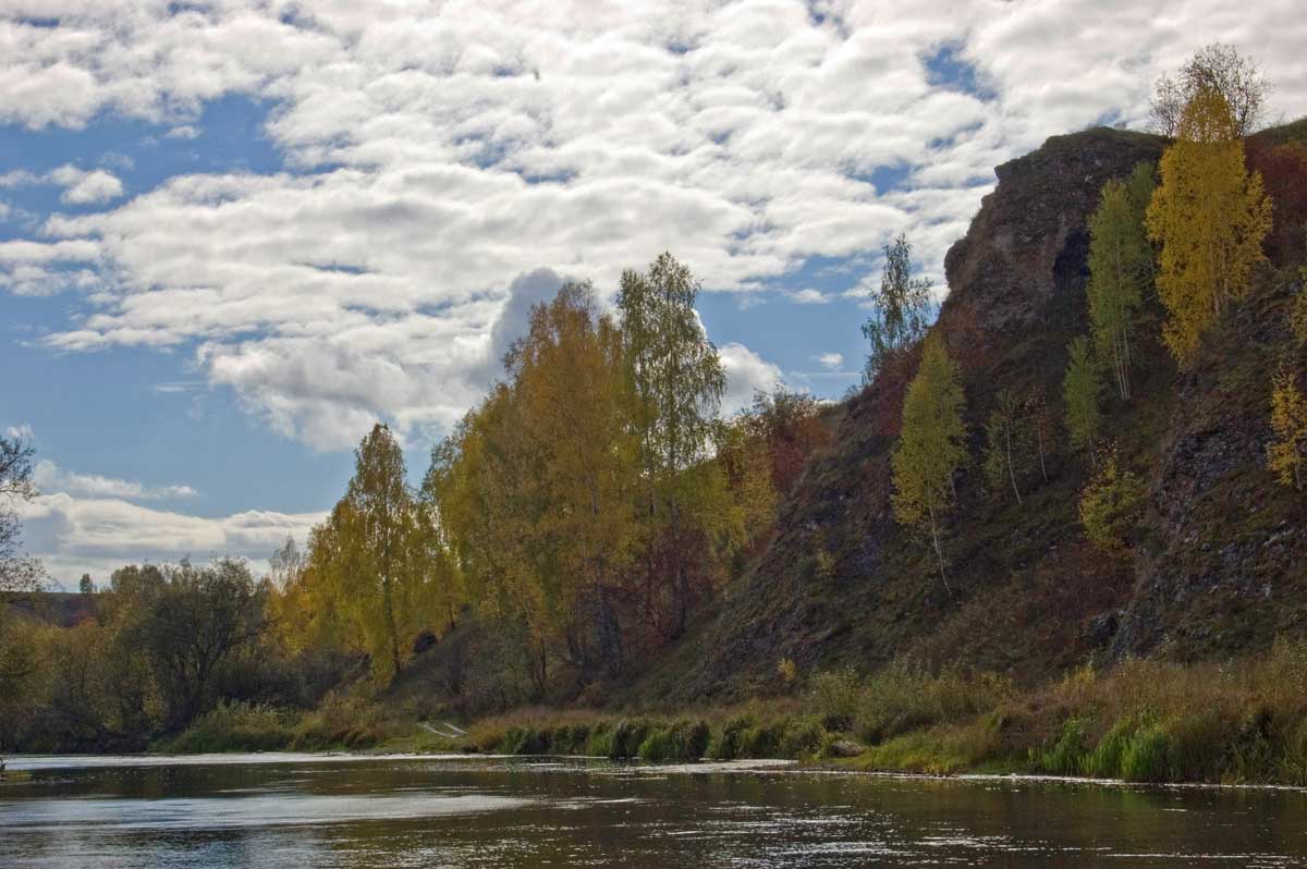 Окрестности деревни Комарово, image of landscape/habitat.