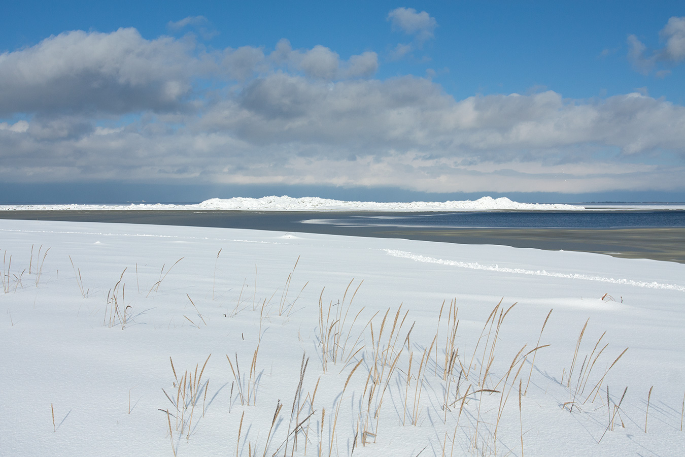 Большая Ижора, image of landscape/habitat.