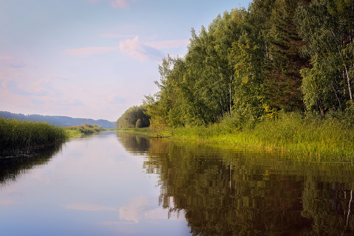 Кунчурихинский бор, image of landscape/habitat.