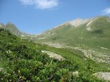 Image of landscape