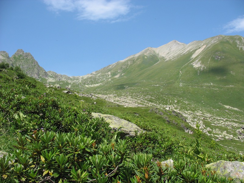 Ущелье реки Азгек, image of landscape/habitat.