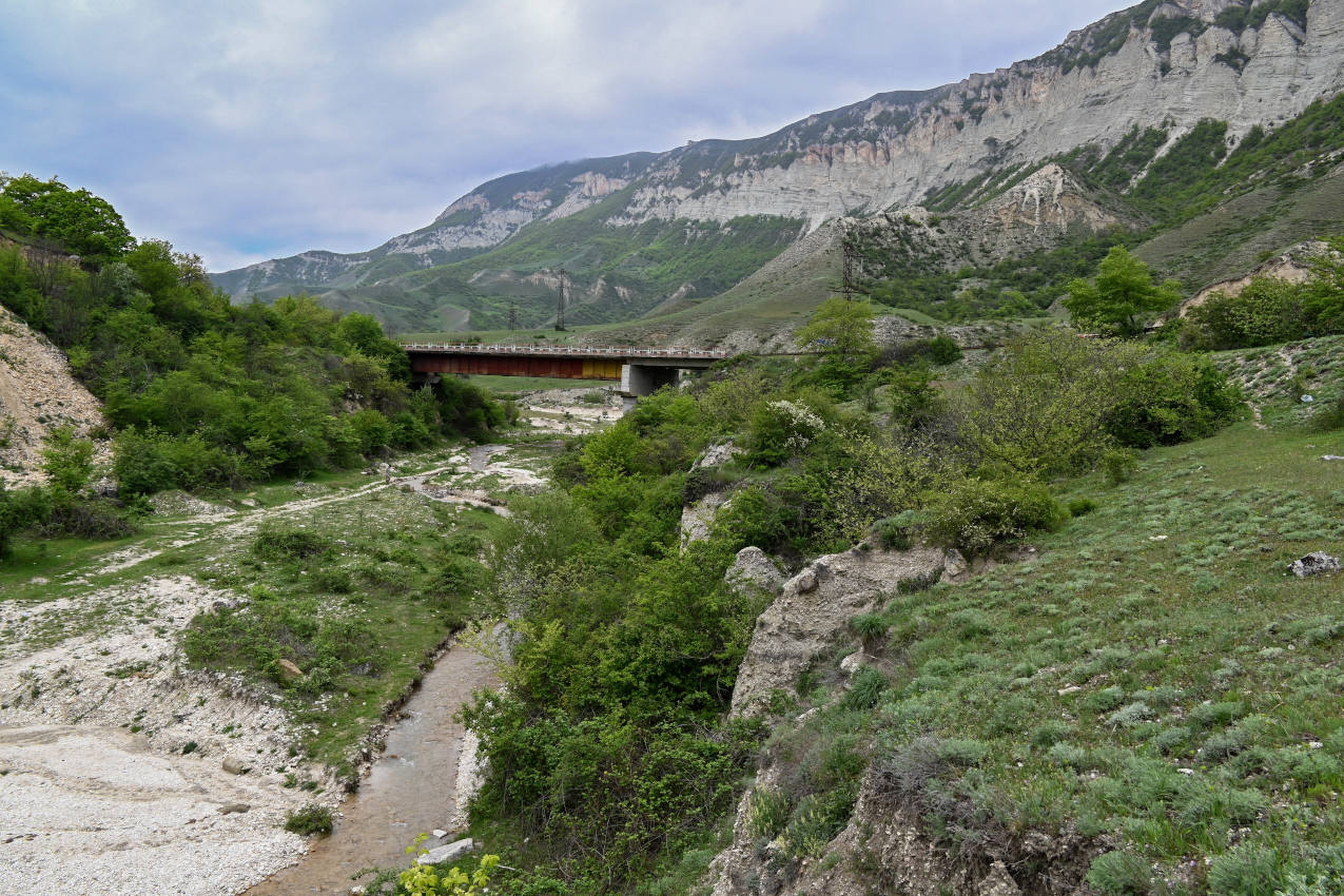 Долина реки Кака-Озень, image of landscape/habitat.