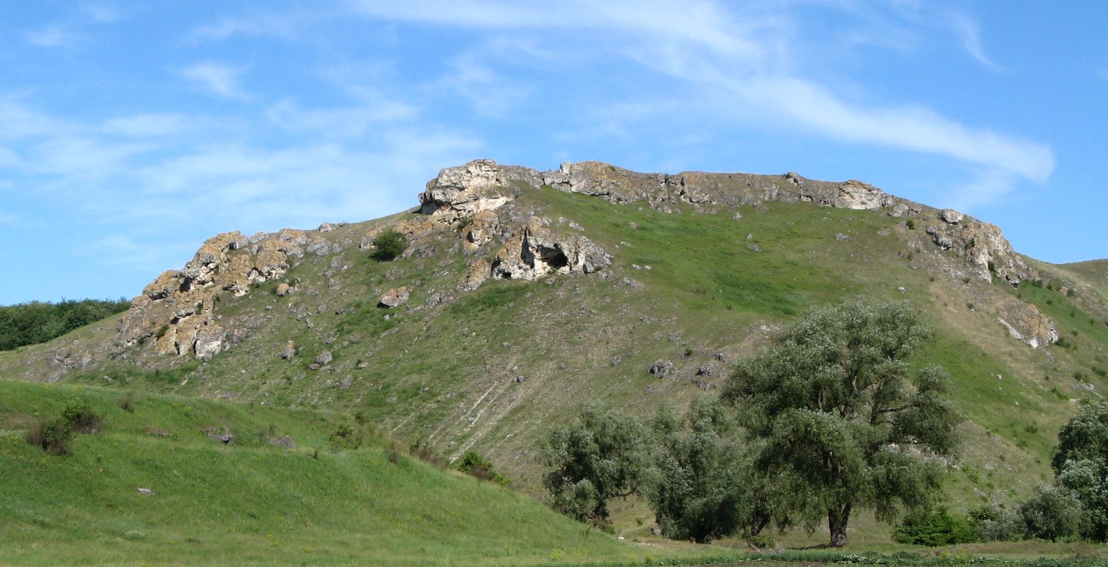 Брынзень, image of landscape/habitat.