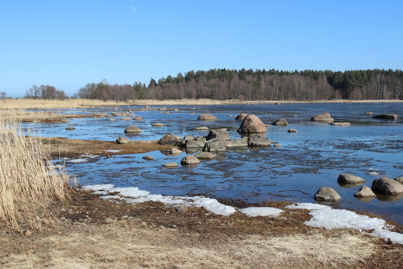 Батарейная бухта, изображение ландшафта.