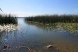 Езерище и окрестности, image of landscape/habitat.