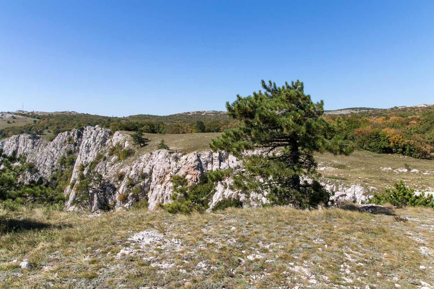 Ай-Петринская яйла, изображение ландшафта.