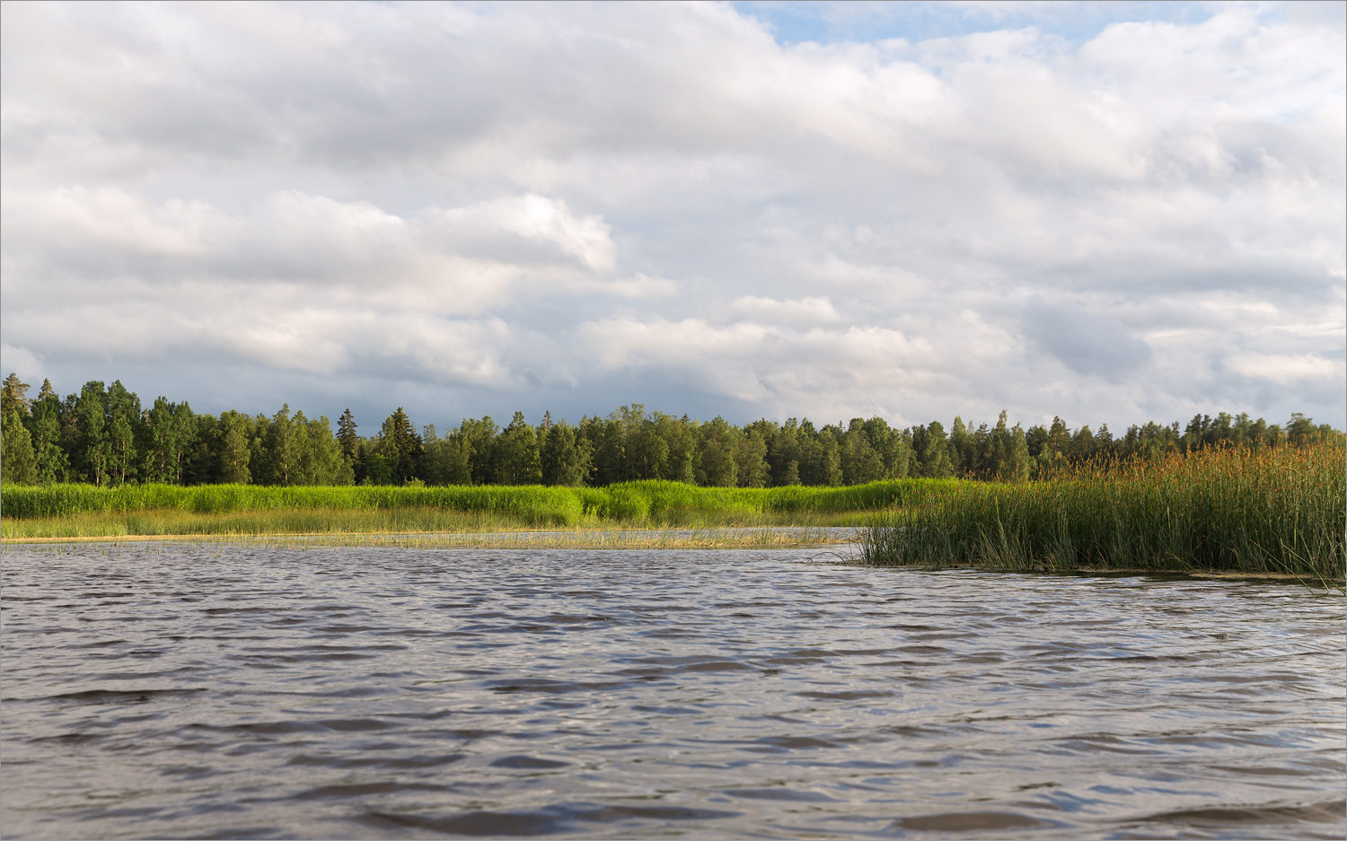 Мыс Дубовский, image of landscape/habitat.