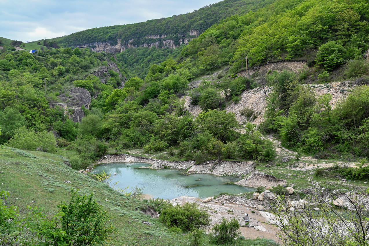 Долина реки Кака-Озень, image of landscape/habitat.