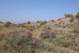 Image of landscape