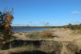 Image of landscape