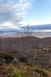 Image of landscape