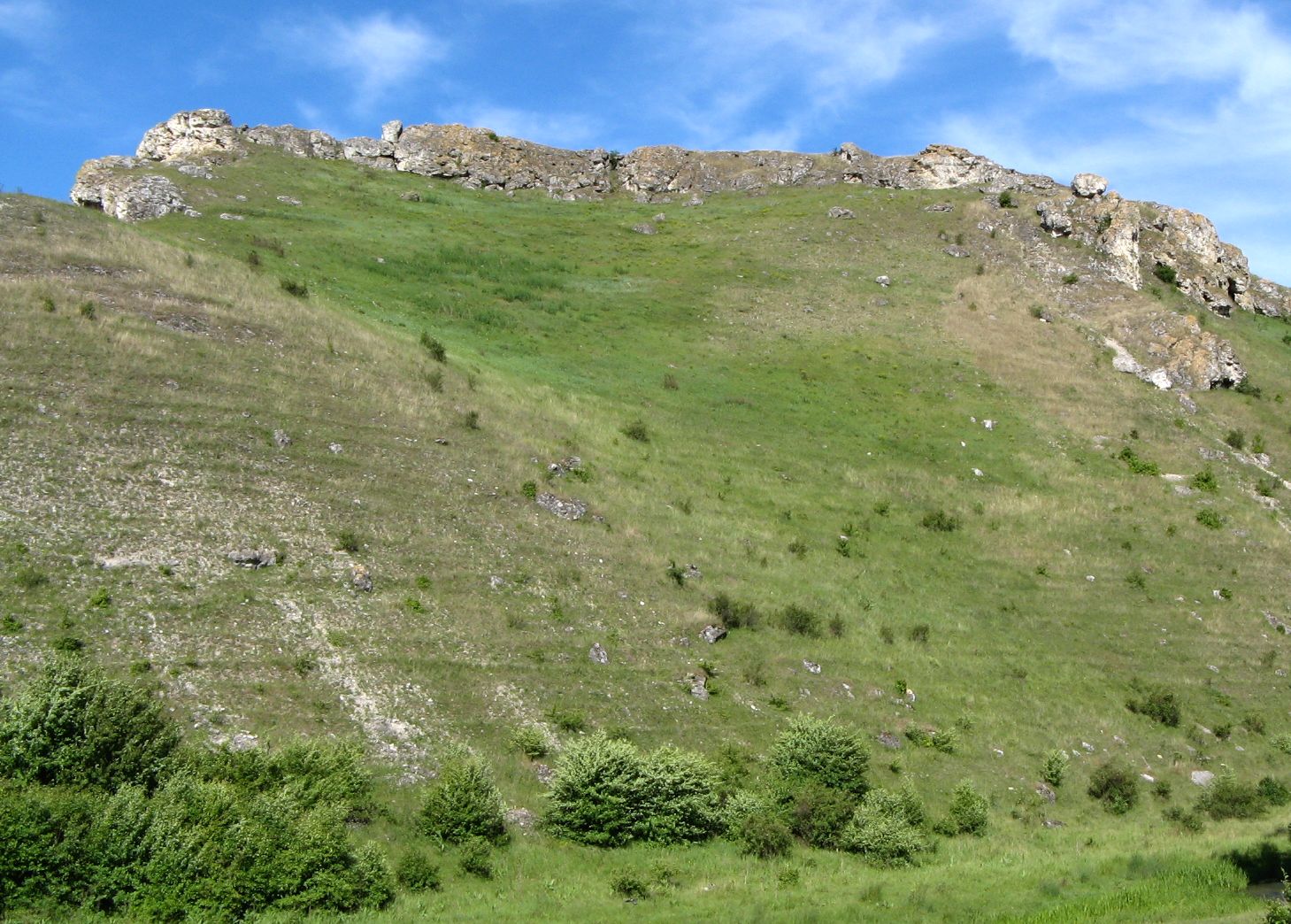 Брынзень, image of landscape/habitat.