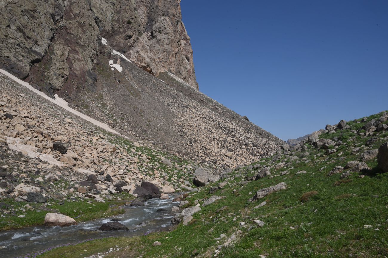 1 км от базового лагеря, image of landscape/habitat.