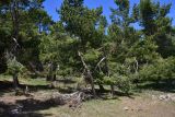 Image of landscape