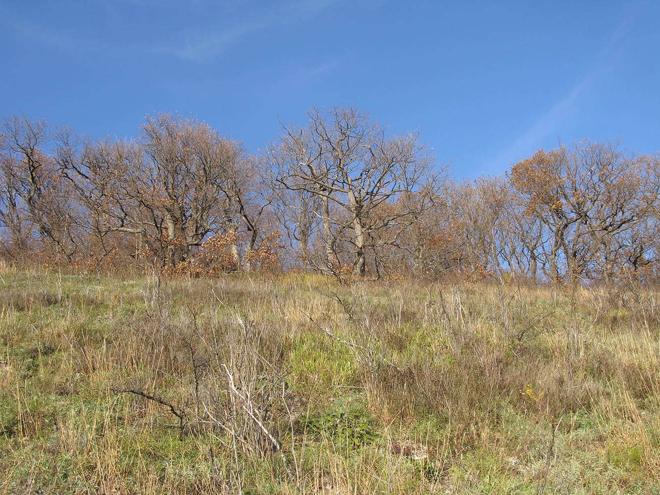 Шизе, image of landscape/habitat.