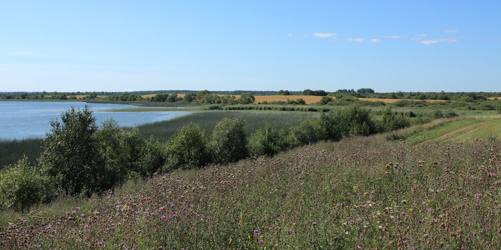 Езерище и окрестности, image of landscape/habitat.