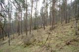 Image of landscape