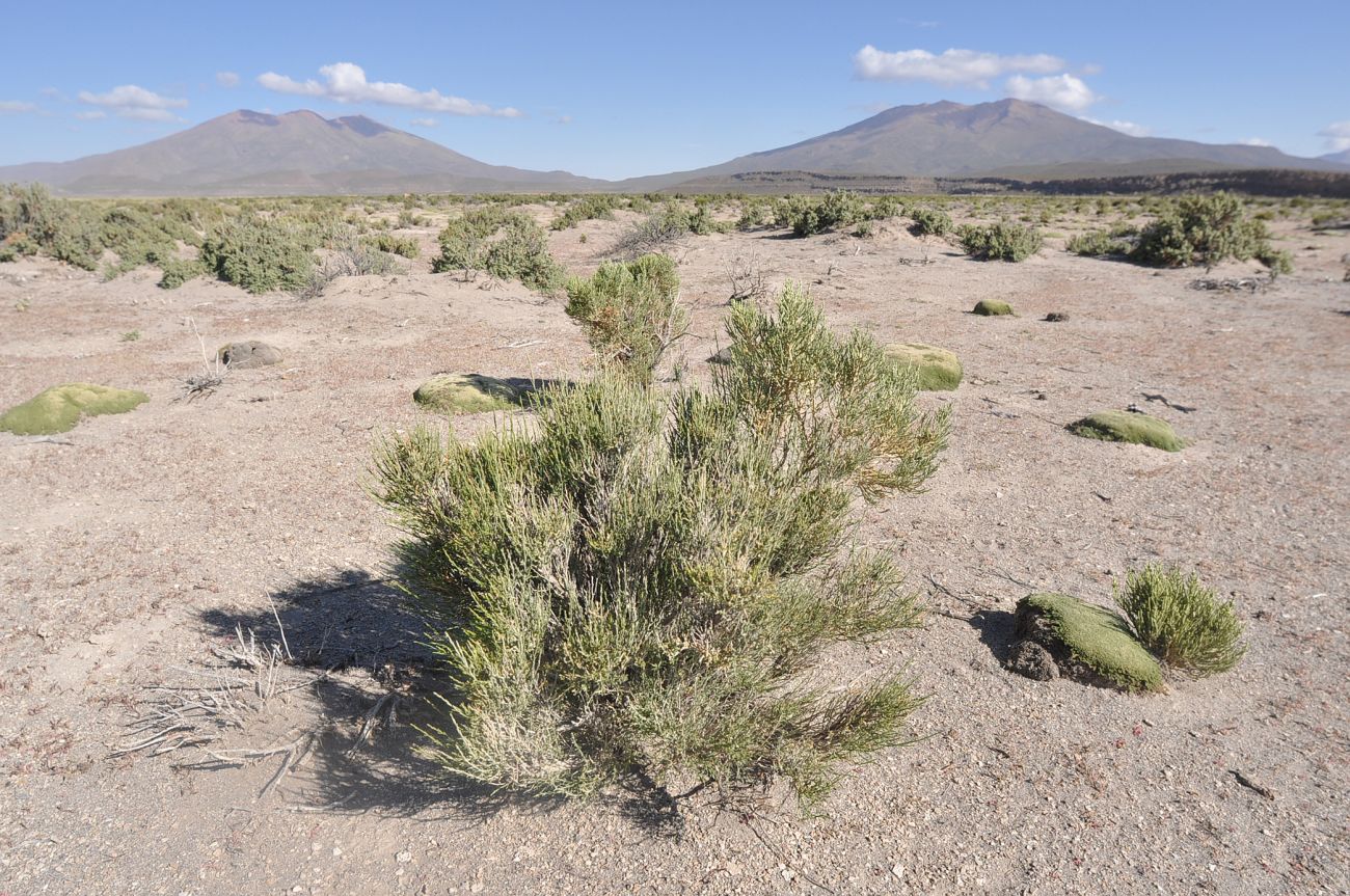 Окрестности села Сан-Хуан, image of landscape/habitat.