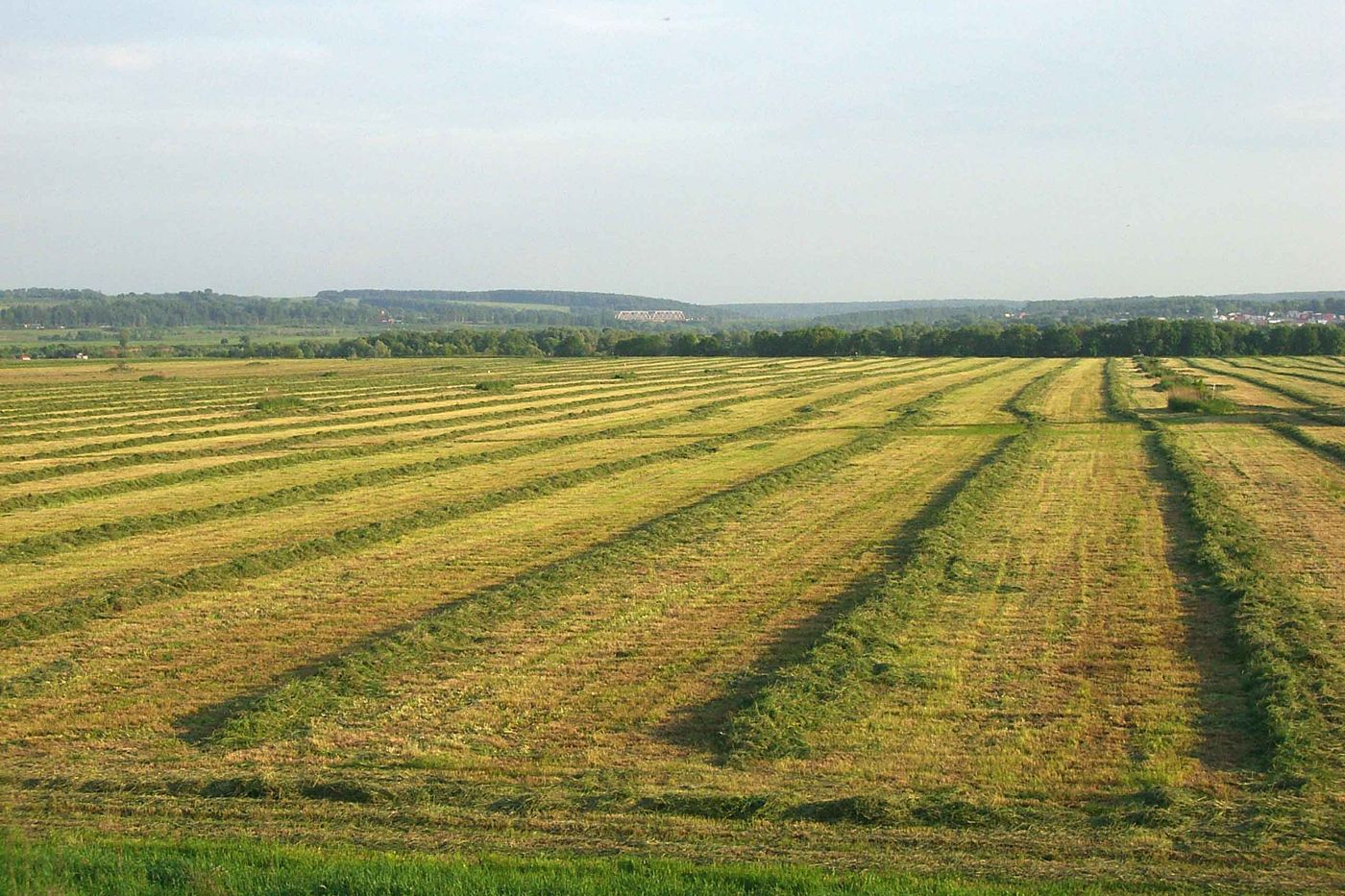 Пойма р. Ока у г. Серпухов, image of landscape/habitat.