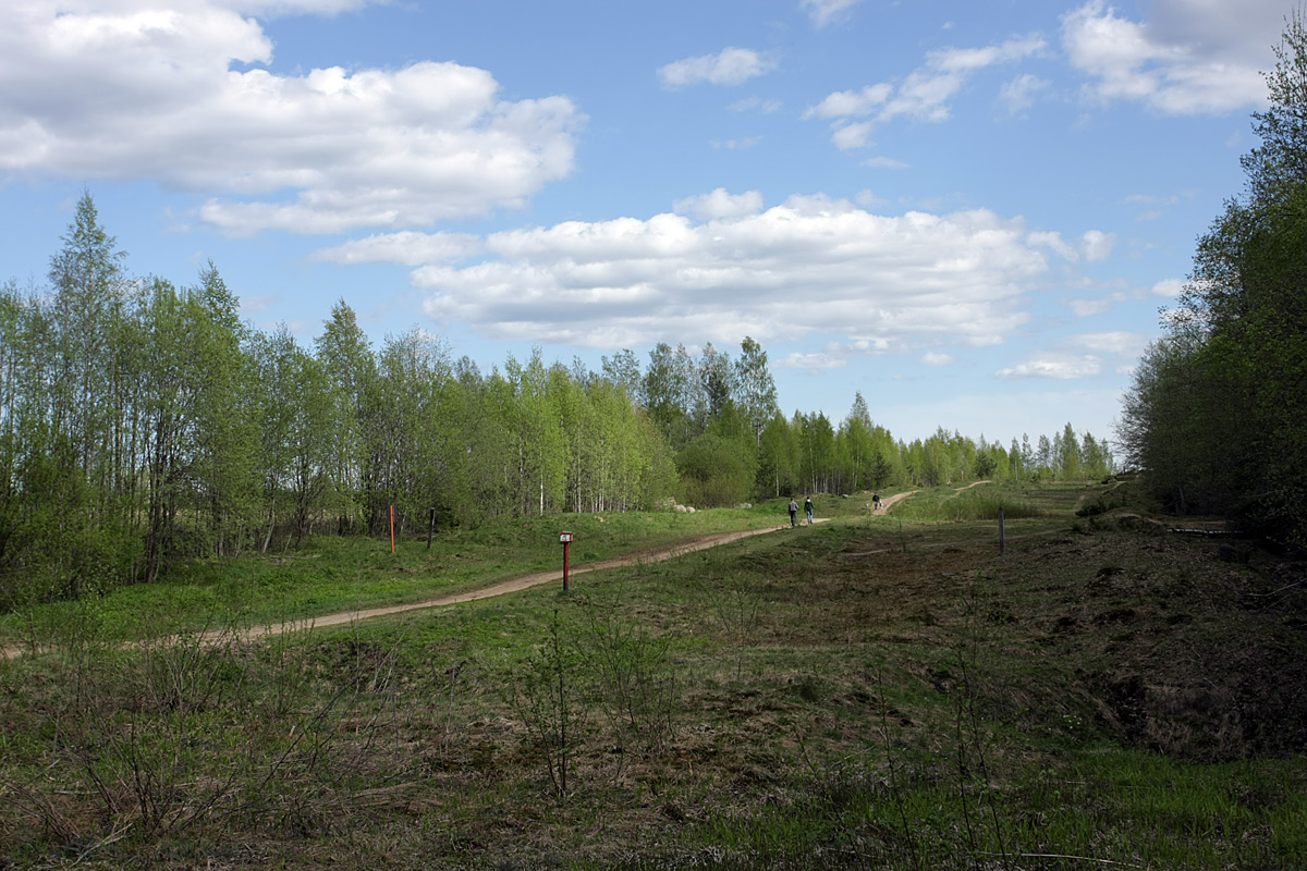 Окрестности Сертолово, изображение ландшафта.