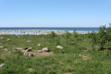 Каравалдай, image of landscape/habitat.