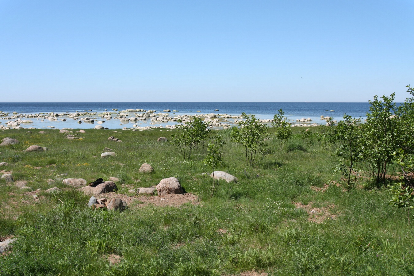 Шепелёвский маяк, image of landscape/habitat.