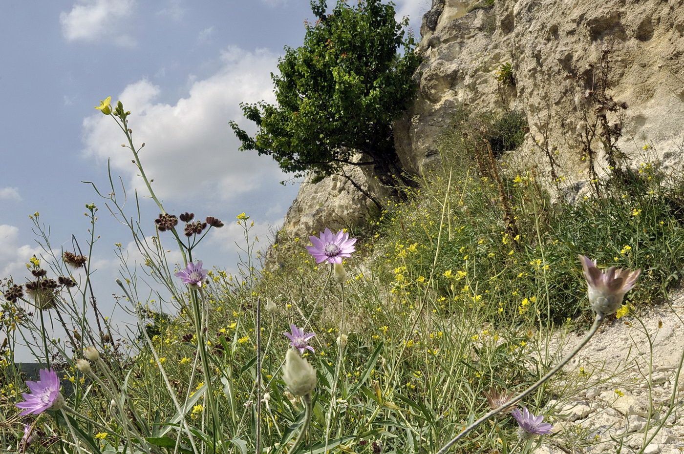 Окрестности мкр-на Пневматика, image of landscape/habitat.